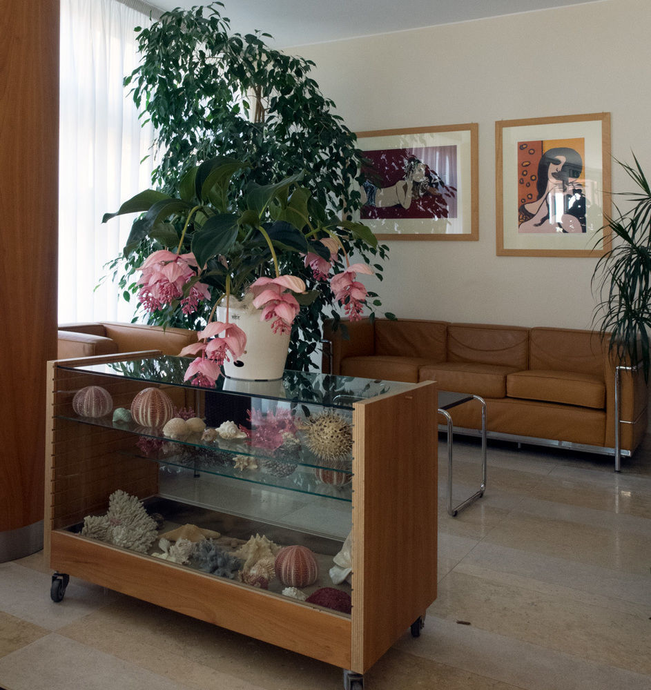 לידו די ג'סולו Hotel Rosanna 3 Stelle Superior מראה חיצוני תמונה